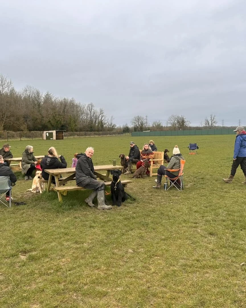 Sunday School group class with dogs and owners in the field