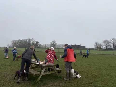 Owners and dogs training together at a group class