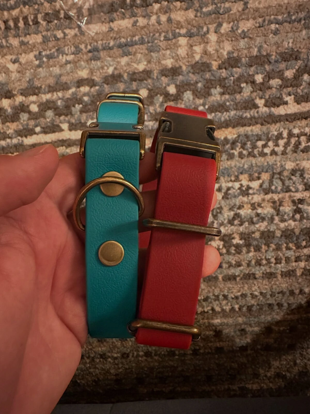 Wine red and turquoise waterproof dog collars with brass fittings