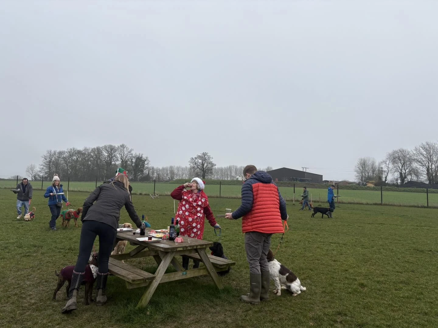 Owners and dogs training together at a group class