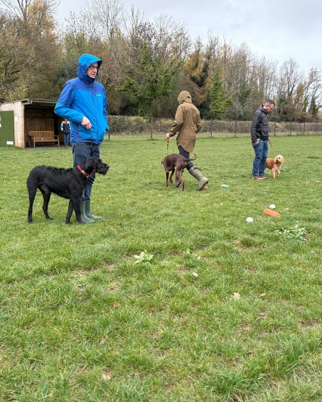 An owner working with a black dog during a group class