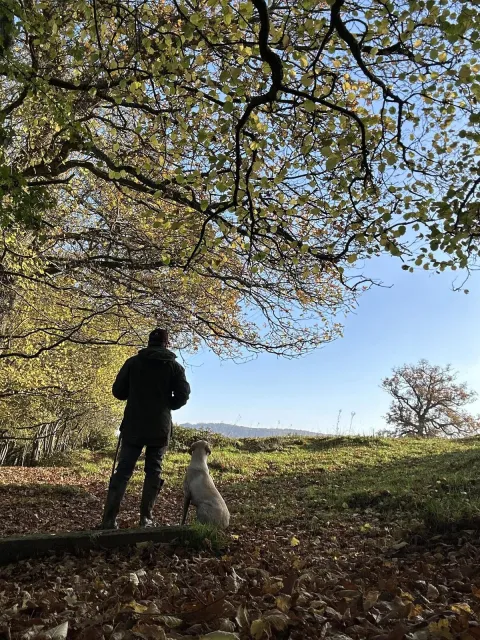 Ashley and a dog looking out over the Cotswolds under an oak tree