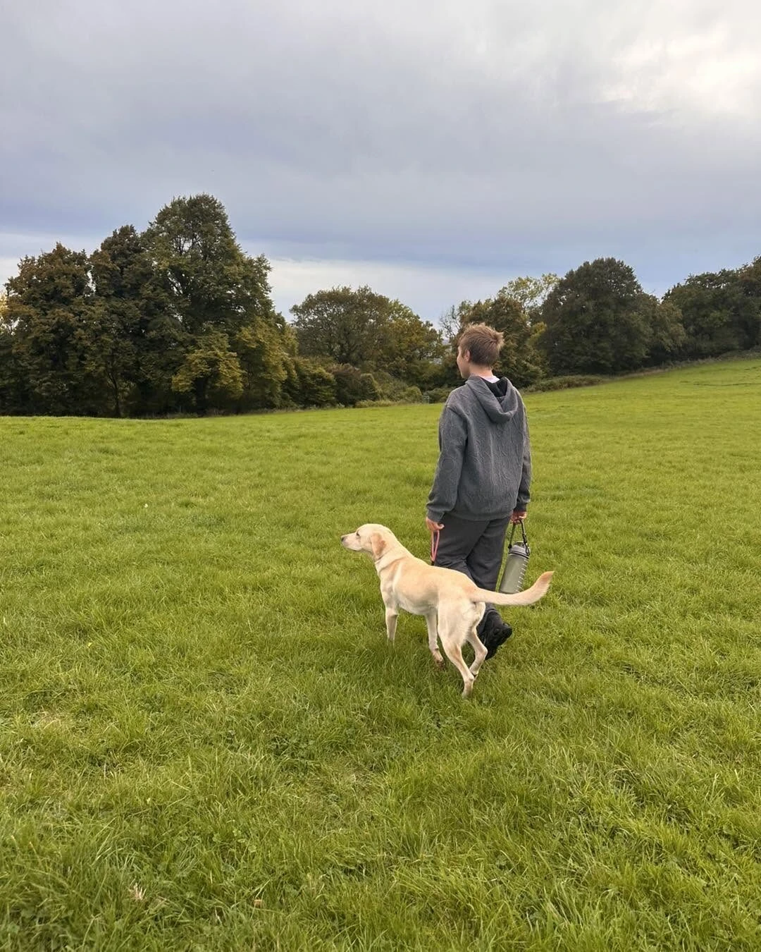 A dog walking calmly beside its owner across a field